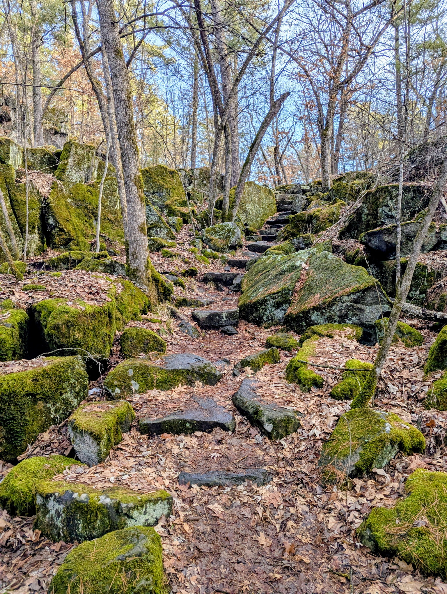 Rock stairs along the trail to Summit Rock.